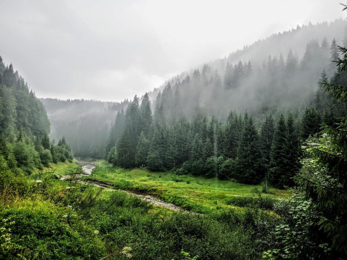 Zlatarske Brvnare Zlatar Chalets โนวาวาโรช ภายนอก รูปภาพ
