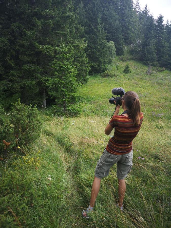 Zlatarske Brvnare Zlatar Chalets โนวาวาโรช ภายนอก รูปภาพ