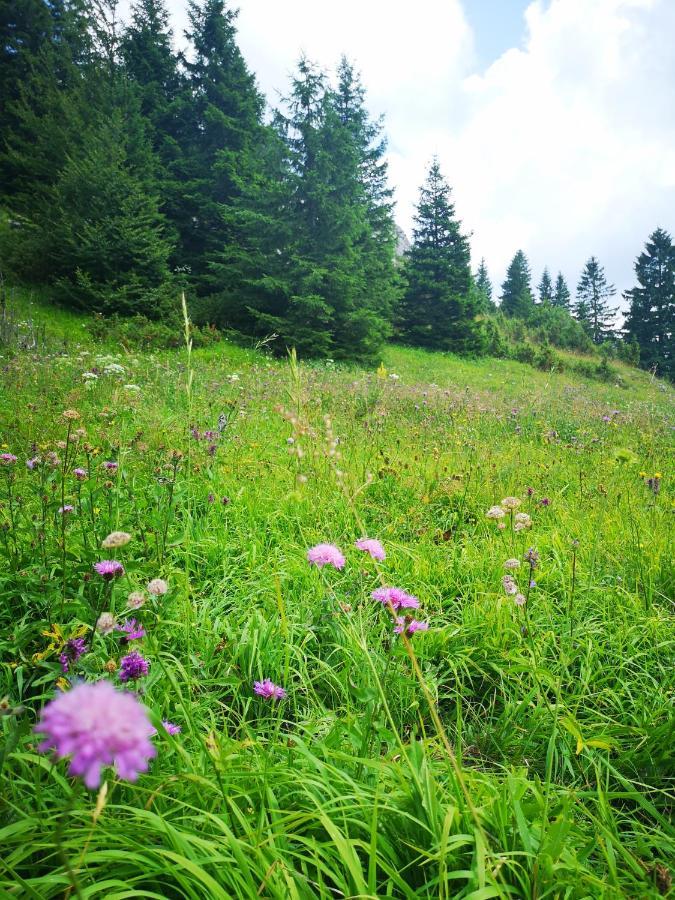 Zlatarske Brvnare Zlatar Chalets โนวาวาโรช ภายนอก รูปภาพ